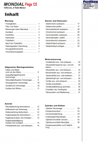 Reparaturanleitung RIS, Mondial Piega 125, Antrieb und Motor