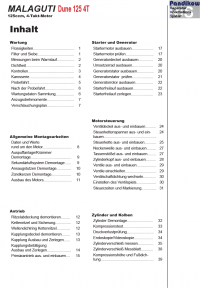 Reparaturanleitung RIS, Malaguti Dune 125, 4T, Antrieb und Motor