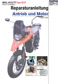 Reparaturanleitung RIS, Malaguti Dune 125, 4T, Antrieb und Motor