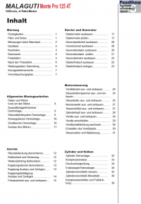 Reparaturanleitung RIS, Malaguti Monte Pro 125, 4T, Antrieb und Motor