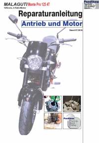 Reparaturanleitung RIS, Malaguti Monte Pro 125, 4T, Antrieb und Motor