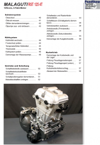 Reparaturanleitung RIS, Malaguti RST 125, 4T, Antrieb und Motor