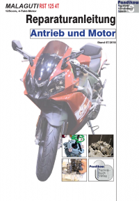 Reparaturanleitung RIS, Malaguti RST 125, 4T, Antrieb und Motor