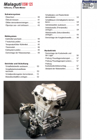 Reparaturanleitung RIS, Malaguti XSM 125, 4T, Antrieb und Motor