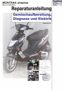 Reparaturanleitung RIS, Montana Stratos 2T, Gemischaufbereitung, Diagnose und Elektik