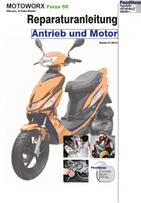 Reparaturanleitung RIS, Motoworx Forza 50, Antrieb und Motor