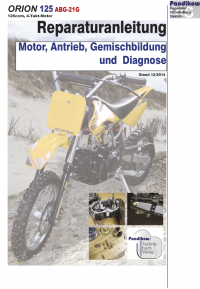 Reparaturanleitung RIS Orion 125 ABG-21G Motor, Antrieb, Gemischbildung und Diagnose