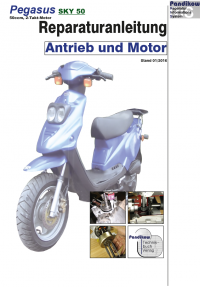 RIS Reparaturanleitung Pegasus Sky 50 Antrieb und Motor