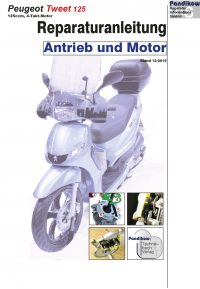 RIS Reparaturanleitung Peugeot Tweet 125 Antrieb und Motor