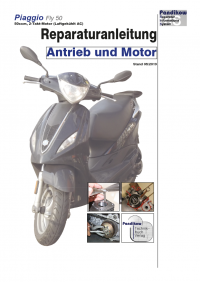 Reparaturanleitung RIS, Piaggio Fly 50 2T, Antrieb und Motor