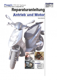 Reparaturanleitung RIS, Piaggio TPH 50 Typhoon 2T, Antrieb und Motor