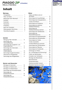 Reparaturanleitung RIS  Piaggio Zip 100 4-Takt Antrieb und Motor
