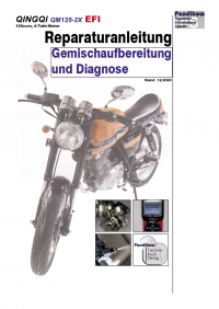 Reparaturanleitung RIS, Qingqi QM125-2X, 4T, Gemischaufbereitung und Diagnose