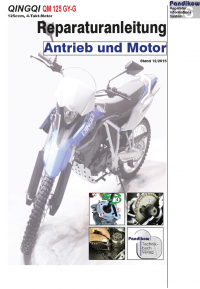 RIS Reparaturanleitung Qingqi QM 125 GY-G Antrieb und Motor