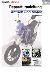 RIS Reparaturanleitung Qingqi QM 125 GY-H Antrieb und Motor