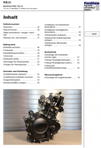 Reparaturanleitung RIS, Rieju Marathon PRO 125 LC, Antrieb und Motor