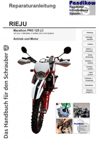 Reparaturanleitung RIS, Rieju Marathon PRO 125 LC, Antrieb und Motor