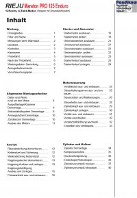 Reparaturanleitung RIS, Rieju Marathon PRO 125 Enduro, Antrieb und Motor