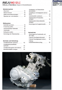 Reparaturanleitung RIS, Rieju NKD 125 LC, Antrieb und Motor