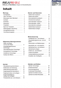 Reparaturanleitung RIS, Rieju RS3 125 LC, Antrieb und Motor