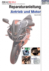 Reparaturanleitung RIS, Rieju RS3 125 LC, Antrieb und Motor