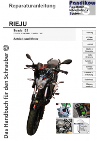 Reparaturanleitung RIS, RIEJU Strada 125, 4T, Antrieb und Motor