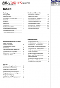 Reparaturanleitung RIS, RIEJU Tango 125 AC , Antrieb und Motor