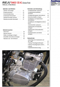 Reparaturanleitung RIS, RIEJU Tango 125 AC , Antrieb und Motor