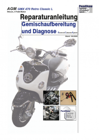 Reparaturanleitung RIS, AGM GMX 470 Retro Classic L ECS, 4T, Gemischaufbereitung und Diagnose