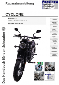 Reparaturanleitung RIS Cyclone RA 125 LC, Antrieb und Motor