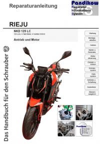 Reparaturanleitung RIS Rieju NKD 125 LC, Antrieb und Motor