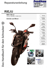 Reparaturanleitung RIS Rieju NKX 125 LC, Antrieb und Motor