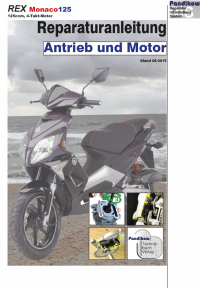 Reparaturanleitung RIS Rex Monaco 125 Antrieb und Motor