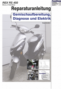 Reparaturanleitung RIS, REX RS 450 4T, Gemischaufbereitung, Diagnose und Elektik