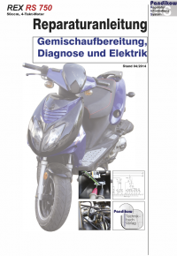 Reparaturanleitung RIS, REX RS 750 4T, Gemischaufbereitung, Diagnose und Elektik