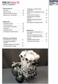 Reparaturanleitung RIS, Rieju Century 125, 4T, Antrieb und Motor