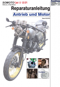 Reparaturanleitung RIS, Somoto Cafe 1.0 (125 EFI), Antrieb und Motor