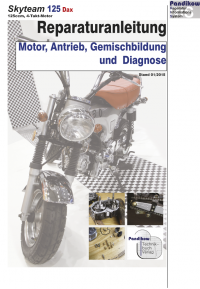 Reparaturanleitung RIS Skyteam Dax 125, Motor, Antrieb, Gemischbildung und Diagnose