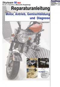 Reparaturanleitung RIS Skyteam Dax 50, Motor, Antrieb, Gemischbildung und Diagnose