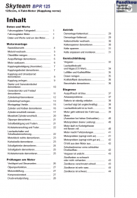 Reparaturanleitung RIS, Skyteam PBR 125 (Kupplung vorne), Motor, Antrieb, Gemischbildung und Diagnose