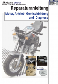 Reparaturanleitung RIS, Skyteam PBR 125 (Kupplung vorne), Motor, Antrieb, Gemischbildung und Diagnose