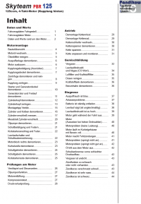 Reparaturanleitung RIS, Skyteam PBR 125 (Kupplung hinten), Motor, Antrieb, Gemischbildung und Diagnose