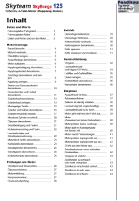 Reparaturanleitung RIS, Skyteam Sky-Bongo 125 (Kupplung hinten), Motor, Antrieb, Gemischbildung und Diagnose