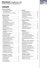 Reparaturanleitung RIS, Skyteam Sky-Bongo 125 (Kupplung vorne), Motor, Antrieb, Gemischbildung und Diagnose