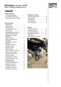 Reparaturanleitung RIS, Skyteam SkyMax 50 EFI, Motor, Antrieb, Gemischbildung und Diagnose