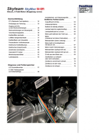 Reparaturanleitung RIS, Skyteam SkyMax 50 EFI, Motor, Antrieb, Gemischbildung und Diagnose