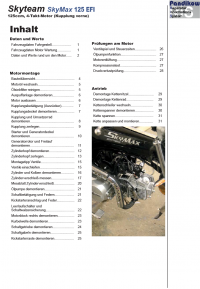 Reparaturanleitung RIS, Skyteam Skymax 125 EFI, Euro 4 ab Bj. 2017, Motor Antrieb Gemischbildung und Diagnose