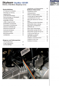 Reparaturanleitung RIS, Skyteam Skymax 125 EFI, Euro 4 ab Bj. 2017, Motor Antrieb Gemischbildung und Diagnose