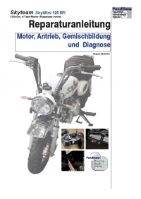 Reparaturanleitung RIS,Skyteam SkyMini 125 EFI, Motor, Antrieb, Gemischbildung und Diagnose