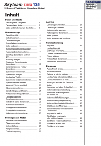 Reparaturanleitung RIS, Skyteam T-REX 125 (Kupplung hinten), Motor, Antrieb, Gemischbildung und Diagnose